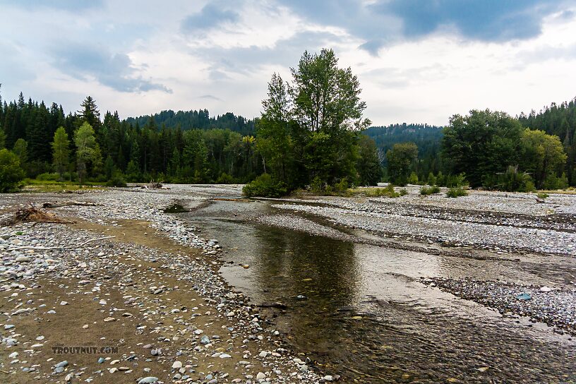  From Pilgrim Creek in Wyoming.