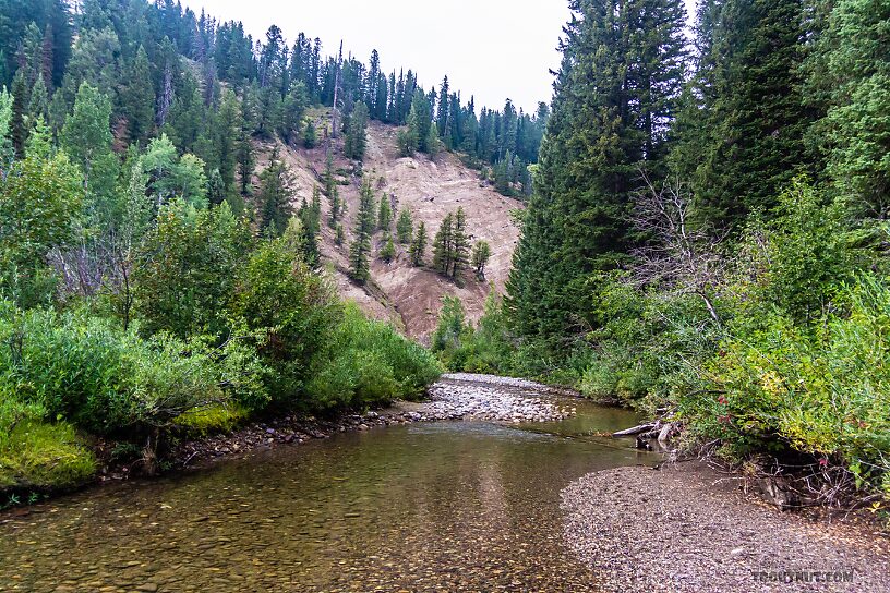  From Pilgrim Creek in Wyoming.