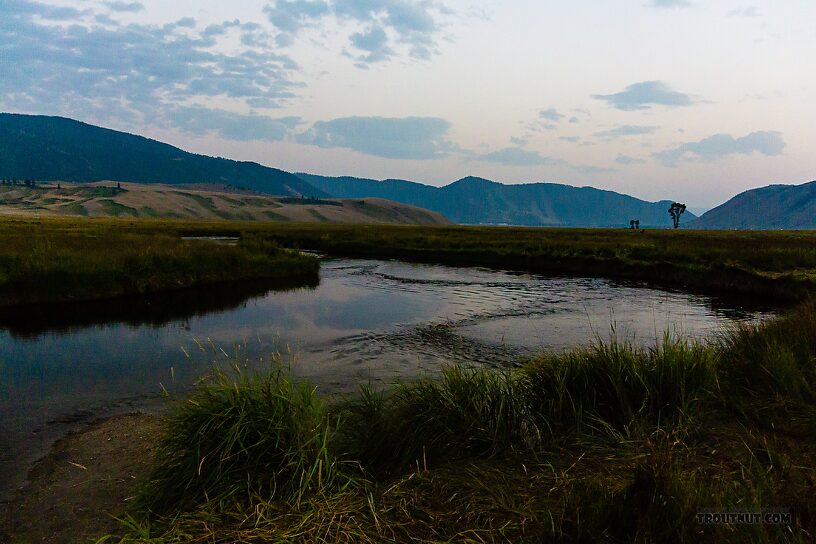  From Flat Creek in Wyoming.