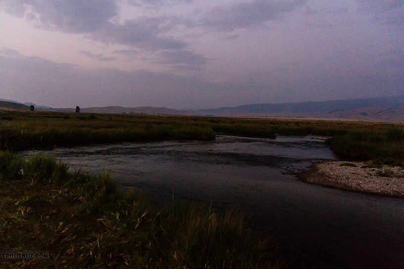  From Flat Creek in Wyoming.