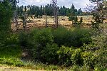  From Flat Creek in Wyoming.