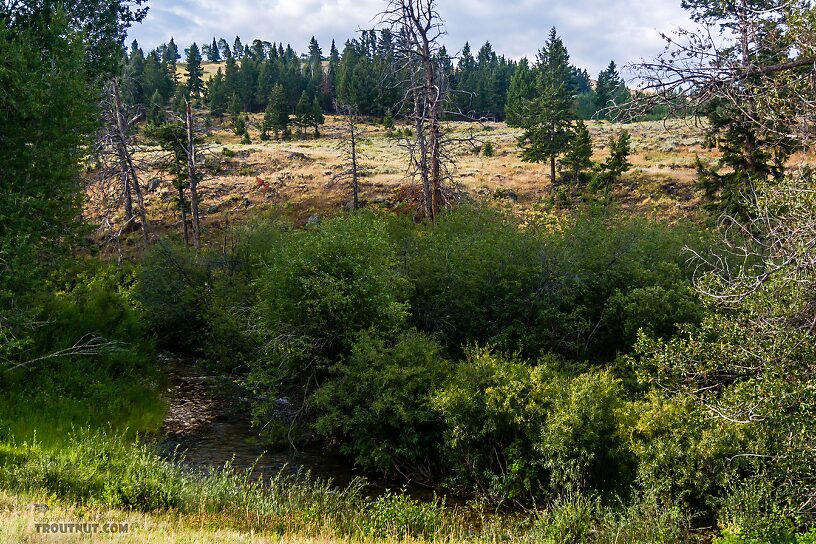  From Flat Creek in Wyoming.