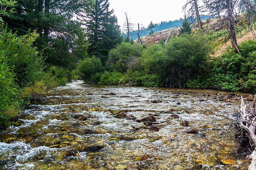  From Flat Creek in Wyoming.