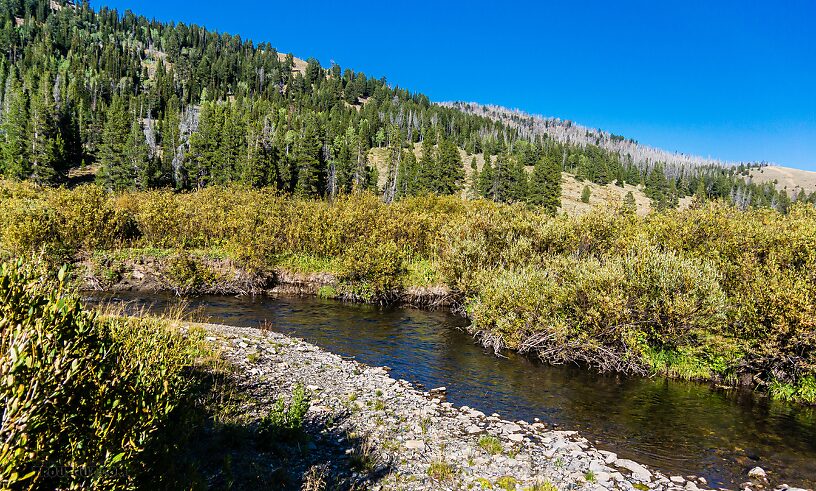  From LaBarge Creek in Wyoming.