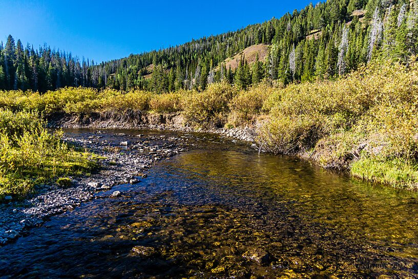  From LaBarge Creek in Wyoming.