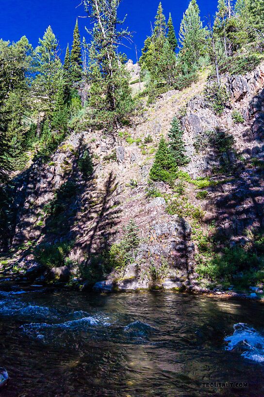  From the Greys River in Wyoming.