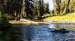  From the Greys River in Wyoming.