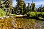  From the Greys River in Wyoming.