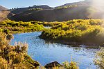  From the Mystery Creek # 274 in Wyoming.