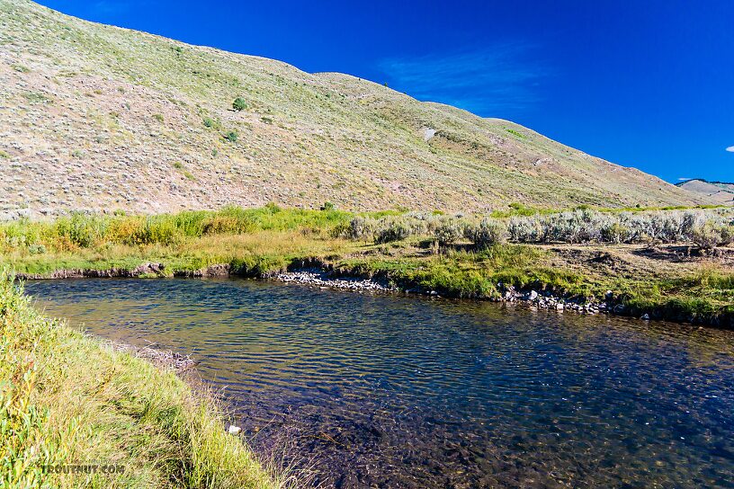  From the Mystery Creek # 274 in Wyoming.