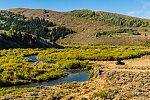  From the Mystery Creek # 274 in Wyoming.