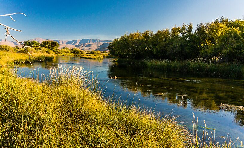  From Silver Creek in Idaho.