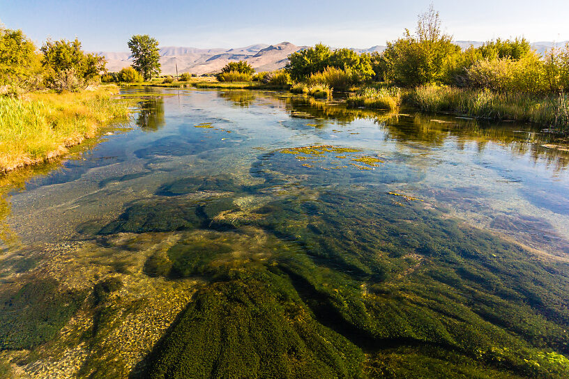  From Silver Creek in Idaho.