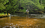 Here I'm looking through the sampling net for interesting nymphs, some of which ended up on this site. From the Bois Brule River in Wisconsin.