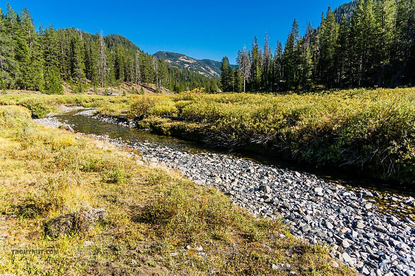  From Trail Creek in Idaho.