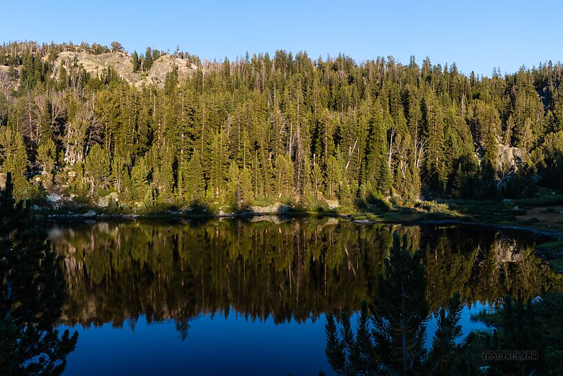  From Hobbs Lake in Wyoming.