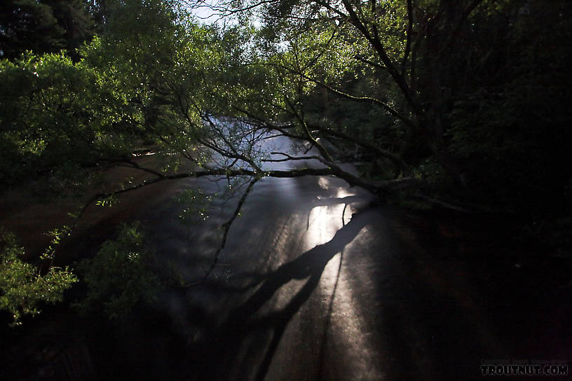  From the Namekagon River in Wisconsin.