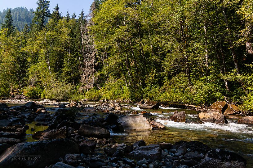  From the Foss River in Washington.