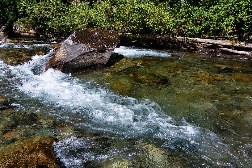  From the Foss River in Washington.