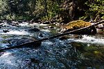  From the Foss River in Washington.