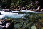  From the Foss River in Washington.