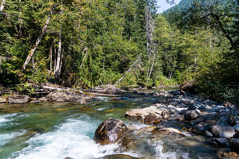  From the Foss River in Washington.