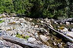  From the Foss River in Washington.