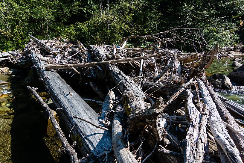 This logjam was a pretty serious obstacle moving upriver... the large log you see on the left is at least 3 feet in diameter.  From the Foss River in Washington.