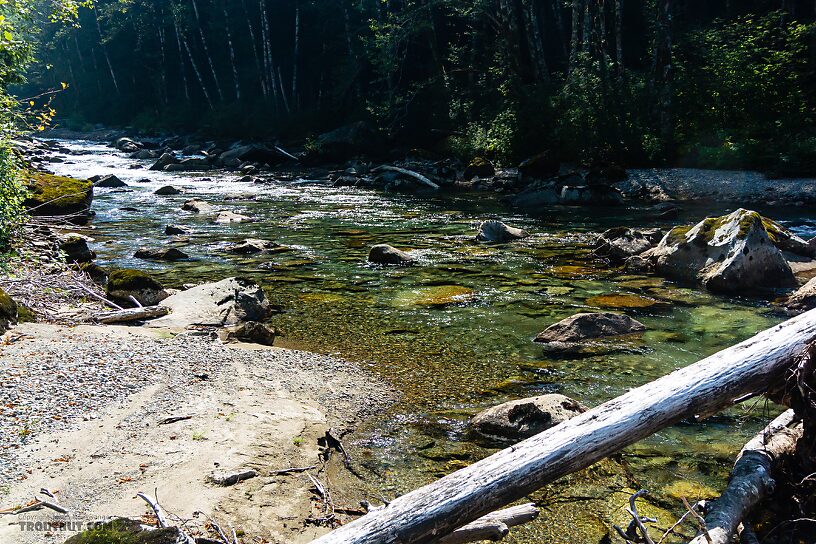  From the Foss River in Washington.