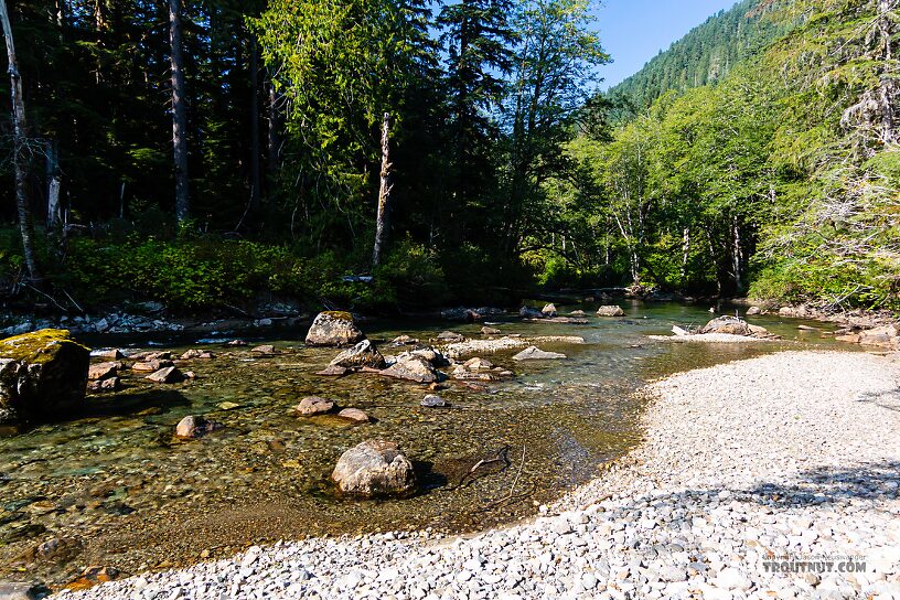  From the Foss River in Washington.