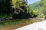  From the Foss River in Washington.