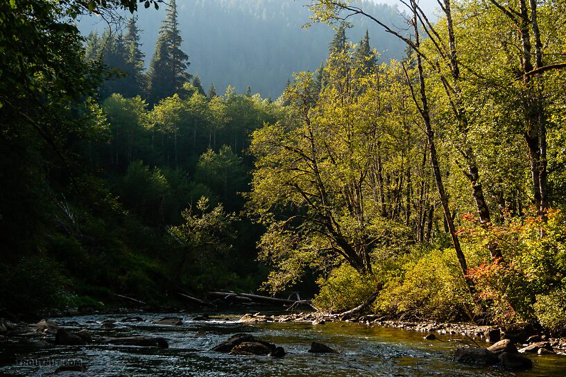  From the Foss River in Washington.