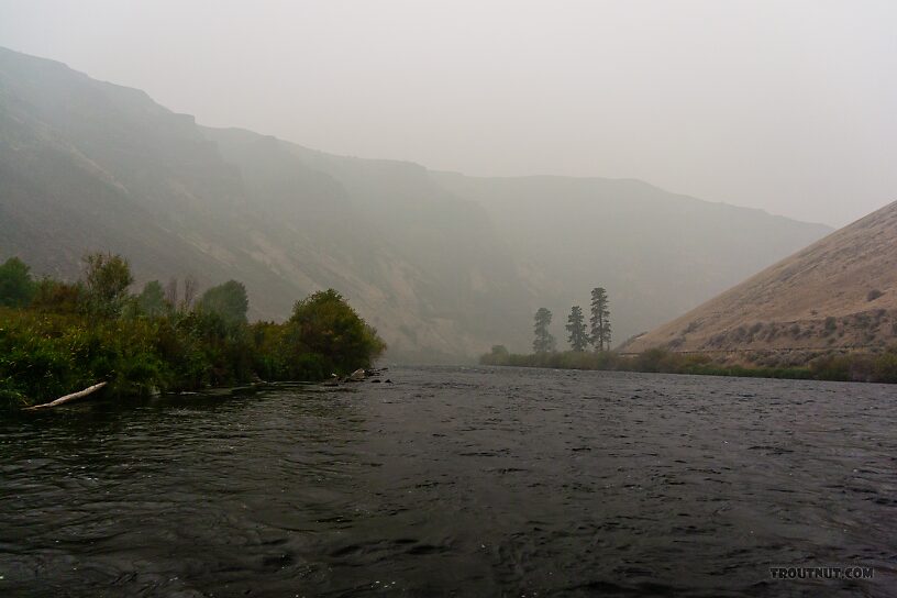  From the Yakima River in Washington.