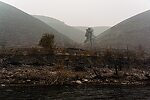  From the Yakima River in Washington.