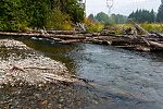  From the Yakima River in Washington.