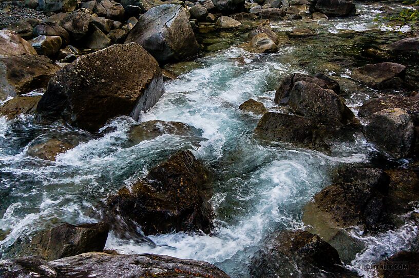  From the Middle Fork Snoqualmie River in Washington.