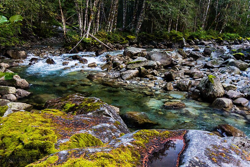  From the Middle Fork Snoqualmie River in Washington.