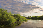  From the Long Lake Branch of the White River in Wisconsin.