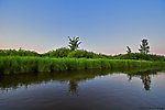  From the Long Lake Branch of the White River in Wisconsin.