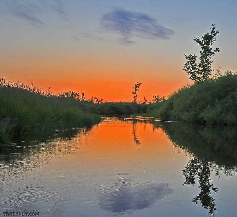  From the Long Lake Branch of the White River in Wisconsin.