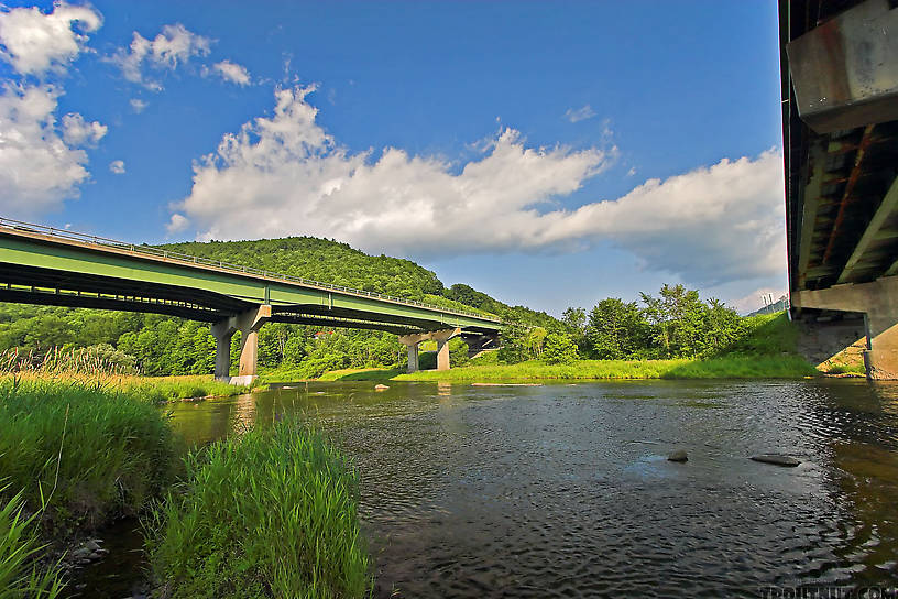  From the East Branch of the Delaware River in New York.