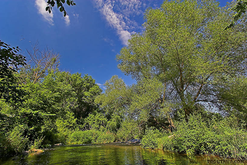  From the Rush River at Little Whiskey in Wisconsin.