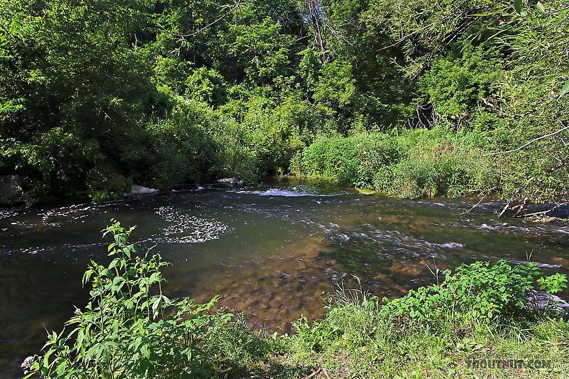  From the Rush River at Little Whiskey in Wisconsin.