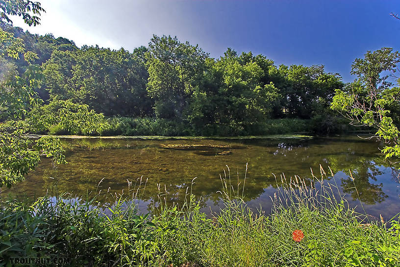  From the Rush River at Little Whiskey in Wisconsin.