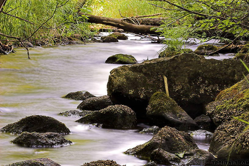  From Eighteenmile Creek in Wisconsin.