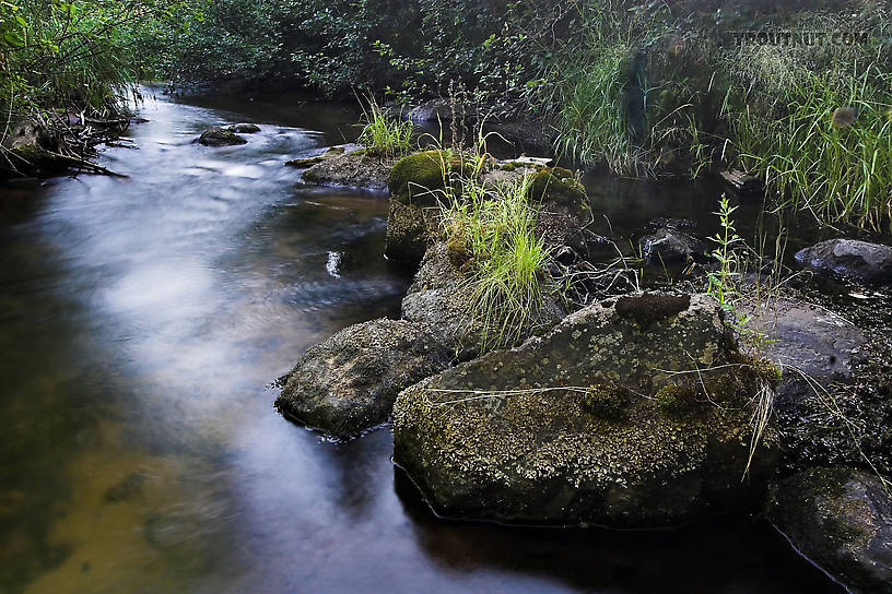  From Eighteenmile Creek in Wisconsin.