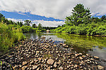 This smallmouth river was very low during a July drought, but I floated it with my dad in a canoe anyway, and we landed several nice smallies.  The weather was too hot for good trout fishing. From the West Fork of the Chippewa River in Wisconsin.