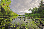 Weeds grow thick in this smallmouth stream, and they're exposed here by the low water. From the West Fork of the Chippewa River in Wisconsin.