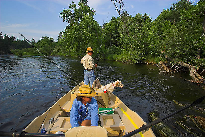 With my friend Brad Bohen at the oars of the drift boat, Don the Pond Monster and I tempted several very nice smallmouths and muskies on a productive evening float. From the Namekagon River in Wisconsin.