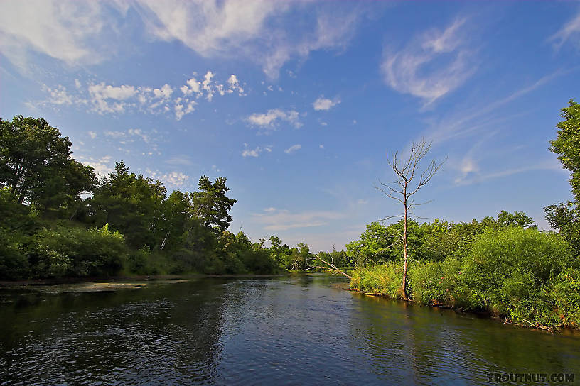  From the Namekagon River in Wisconsin.